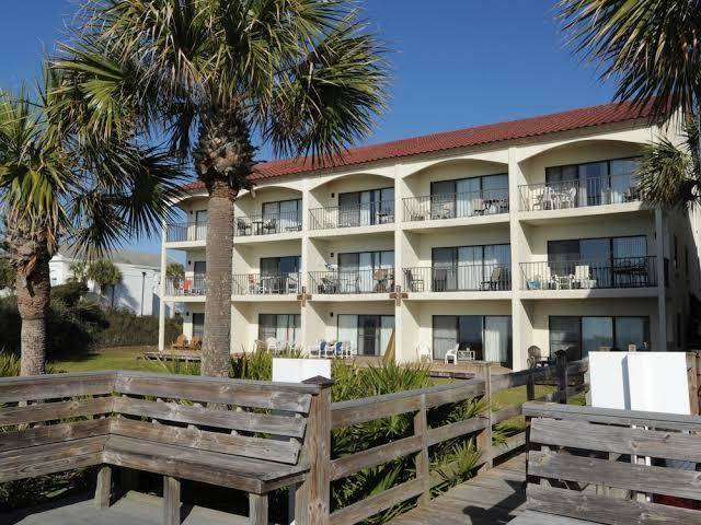 The palms
