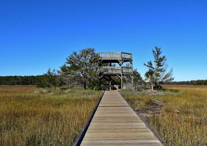 Skidaway island state park