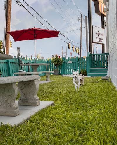 Thunderbird inn