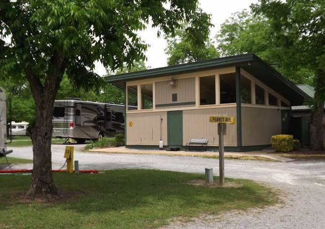 Cordele koa journey