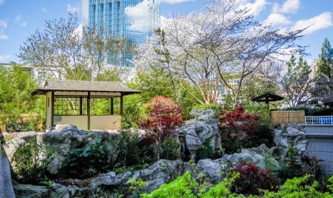 Grand hyatt atlanta in buckhead