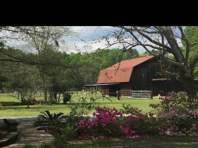 Dublin farm come home to the country