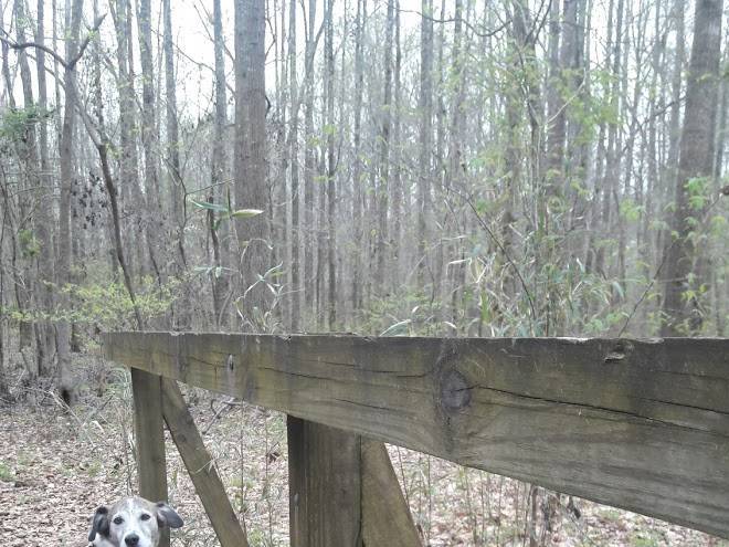 Lake sinclair recreation area