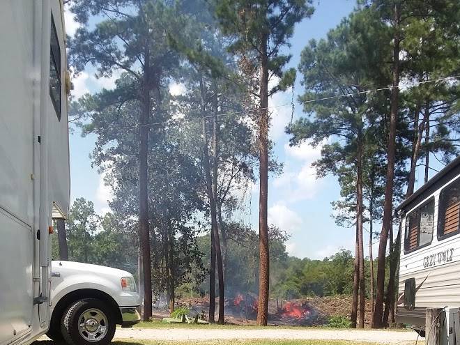 The pines rv park