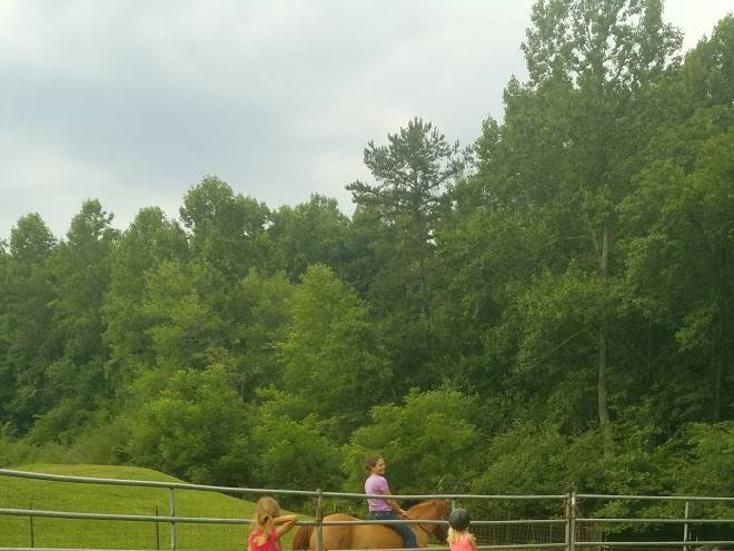God's country farm