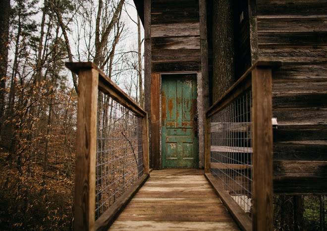 Treetop hideaways