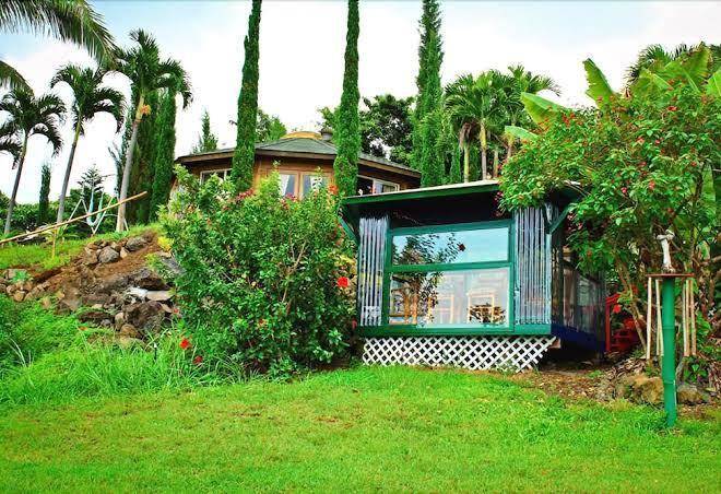 Banyan Tree Sanctuary Image