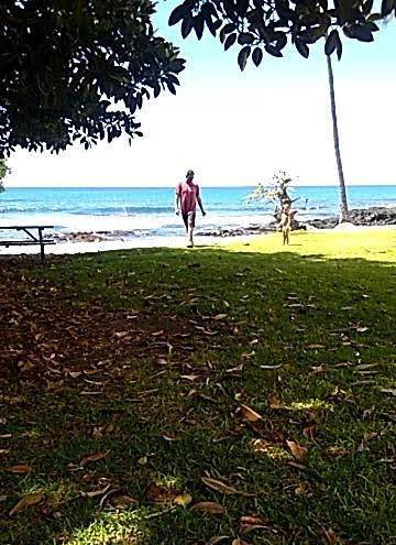 Banyans hawaii