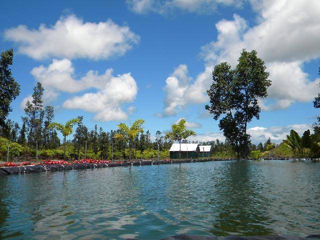 Buccaneer garden aquaculture research academy