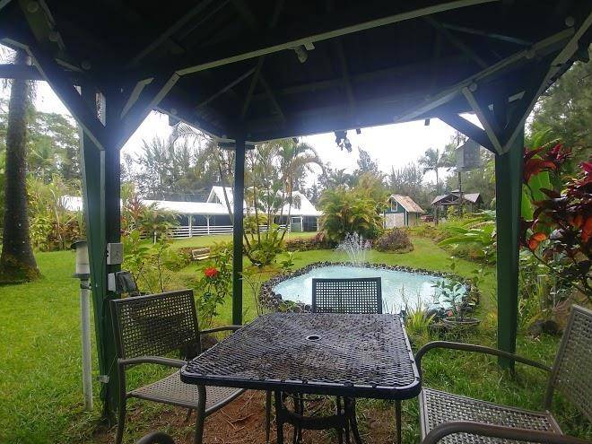 Fern acres bnb