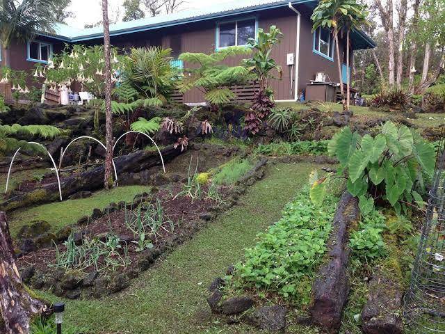 Ixchel hawaii