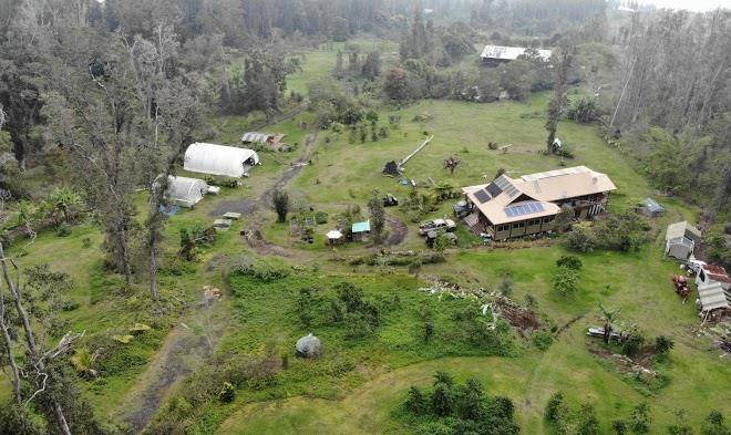 Kona rainforest organic coffee farm
