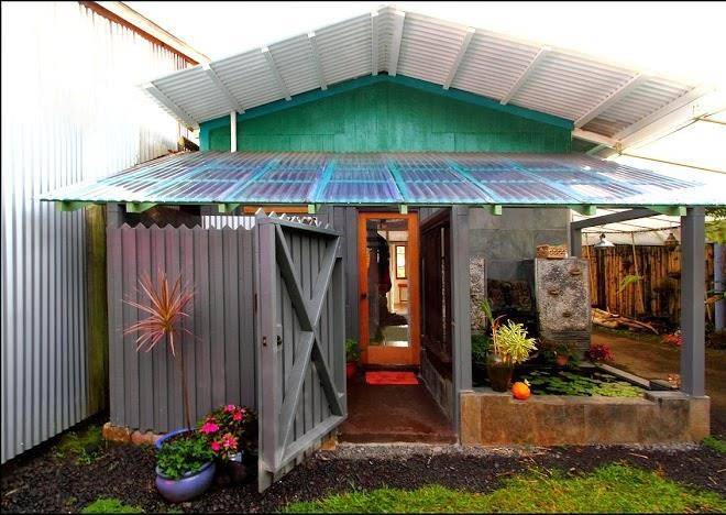 Lotus garden of hilo