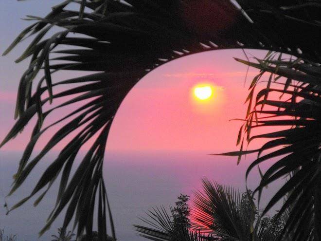 South kona hideaway