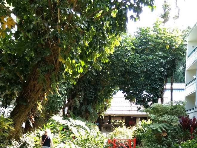 Uncle billy's hilo bay hotel