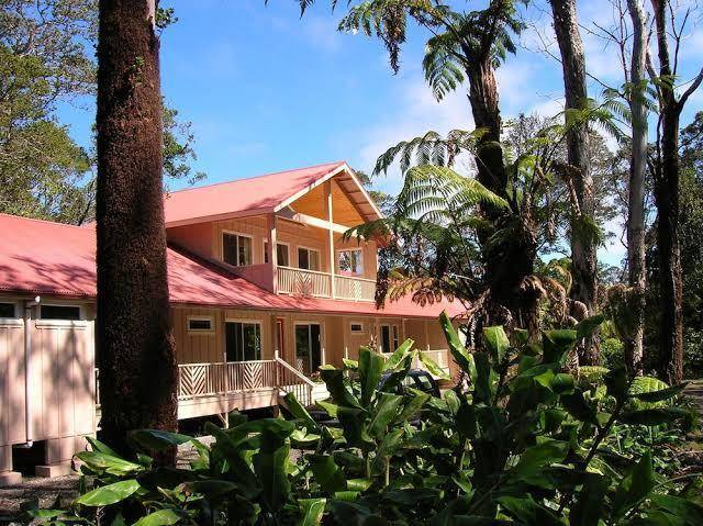 Volcano forest inn