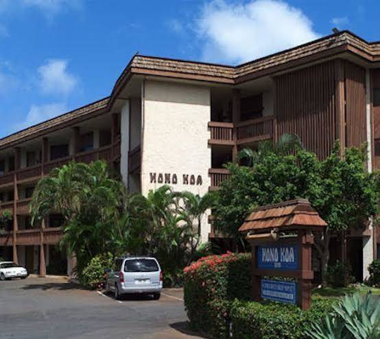 Hono koa