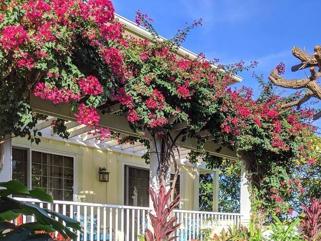 Pineapple inn maui