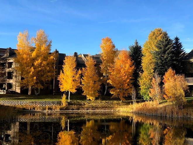 Vacation internationale sun valley