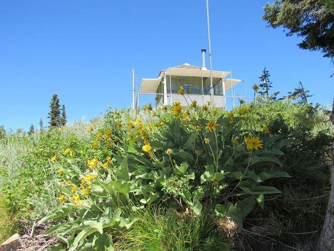 Deadwood lookout
