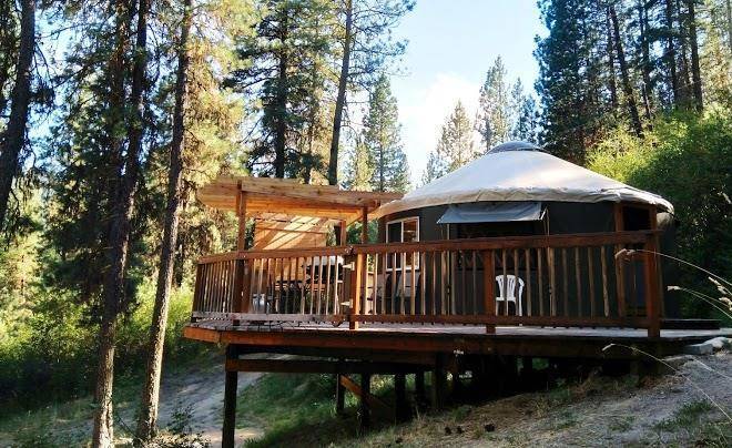 Sly owl ranch