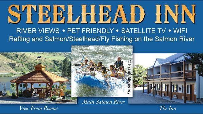 Steelhead inn