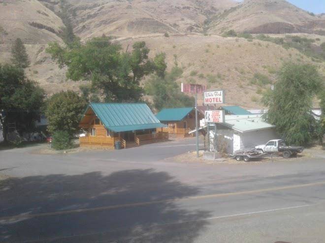 White bird motel