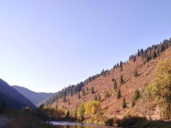 Cabins by the joe