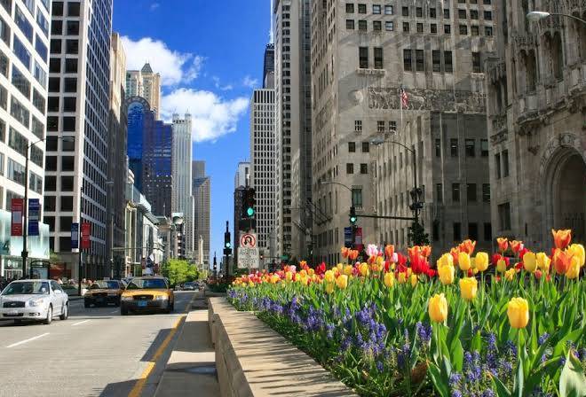 Silversmith hotel chicago downtown