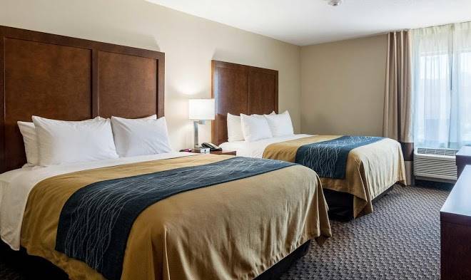 Comfort inn edwardsville