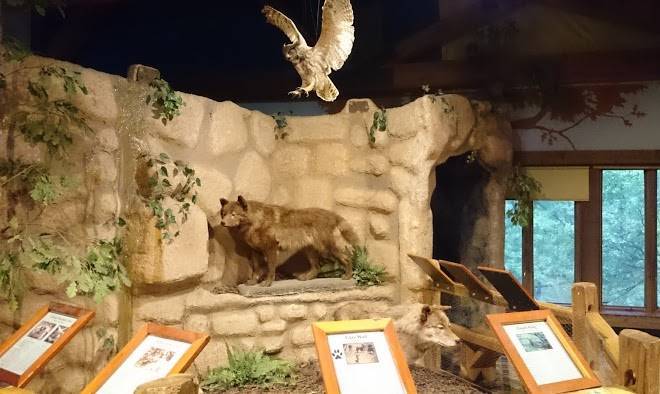 Wildlife prairie park