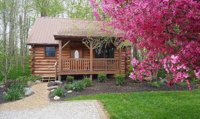 Cabins & candlelight
