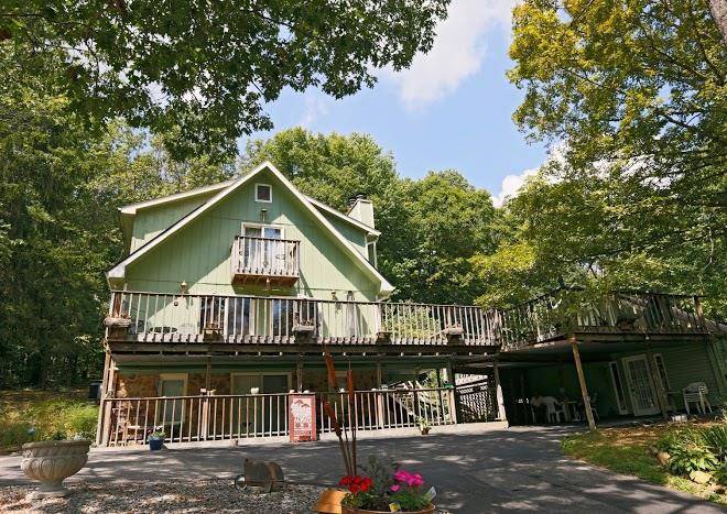 Lil black bear inn