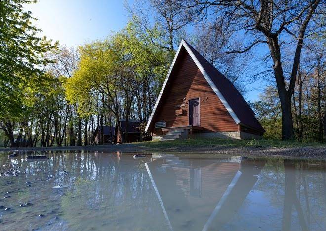 Serenity Springs Image