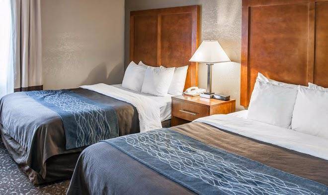 Comfort inn south indianapolis