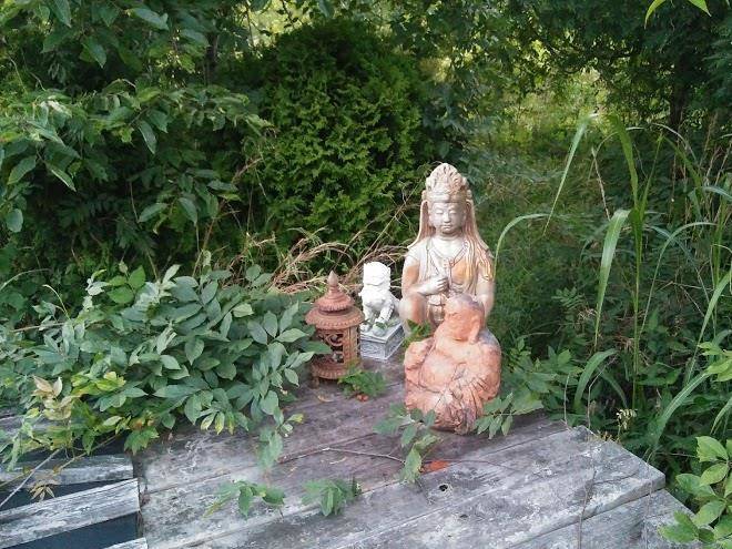 Mary rose herbfarm