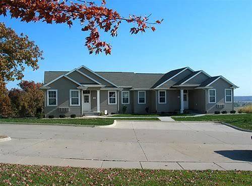 Colony oaks at the amana