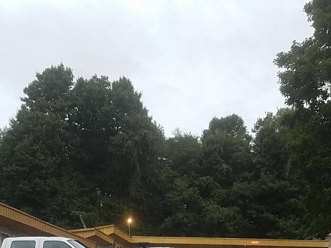 Dreamland Motel Image