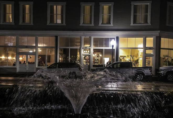 The meadows hotel