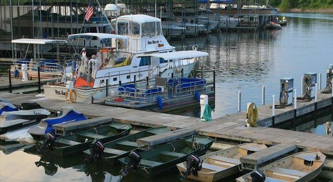 Eddy creek marina resort