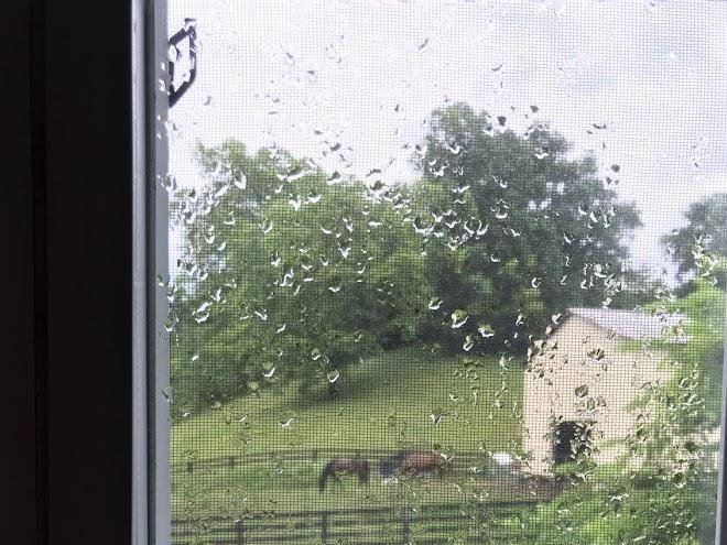 Til the rooster crows ranch