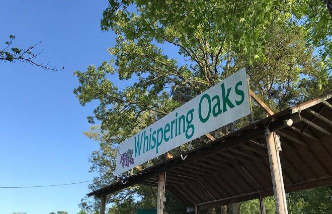 Whispering oaks resort