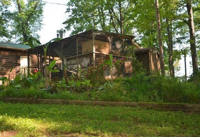 Lostlodgecom