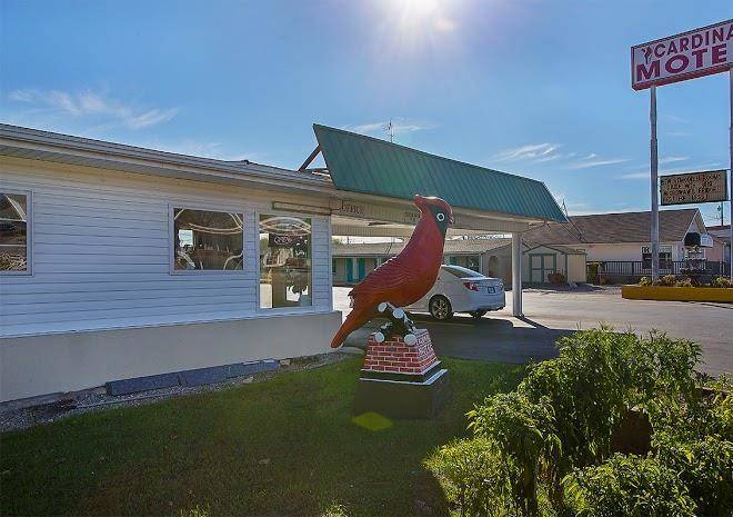 Cardinal motel