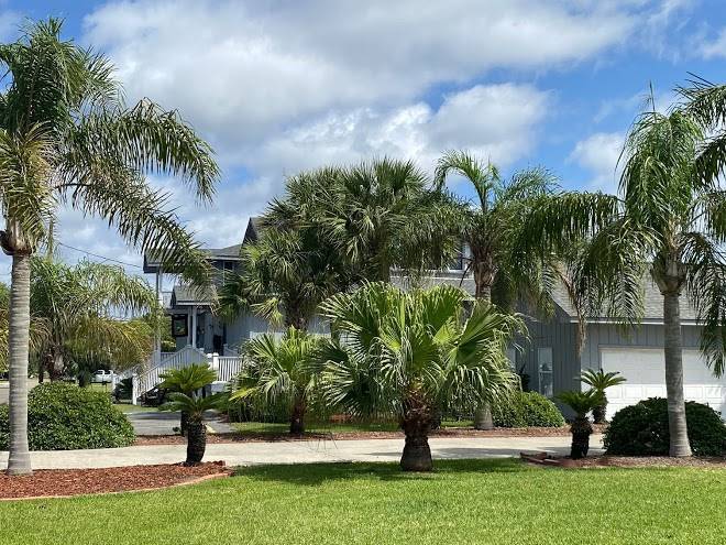Island paradise suites