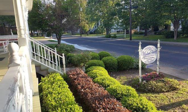 Violet hill bed and breakfast