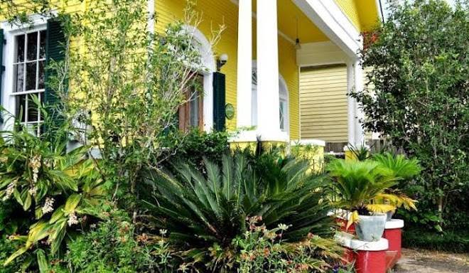 Auld sweet olive bed and breakfast