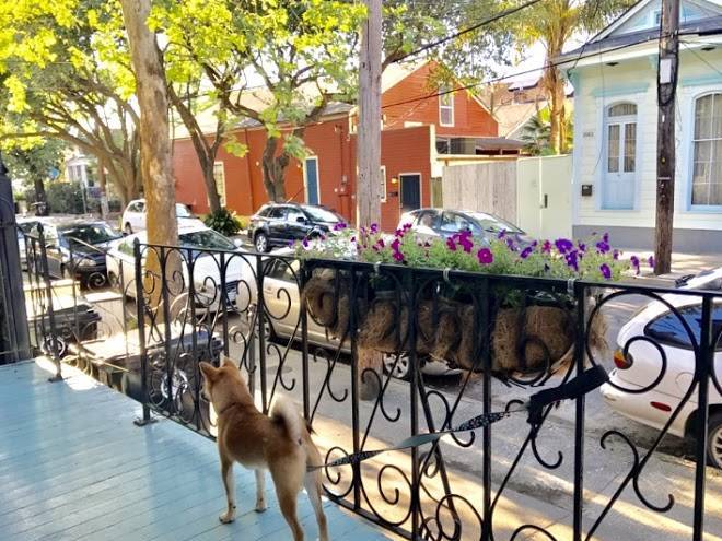 La dauphine b&b