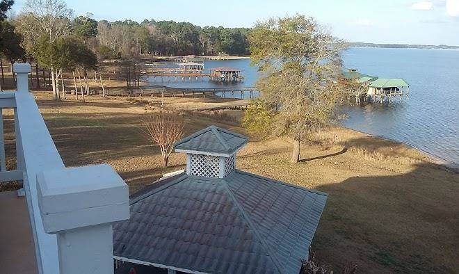 Big bass marina