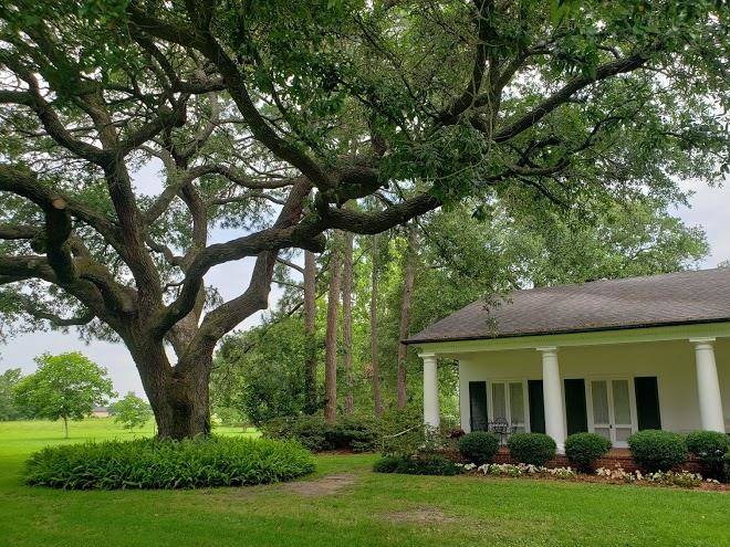Auberge du chene vert bed and breakfast